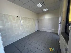 Pronájem komerční nemovitosti, Orlová, Slezská, 15 m2