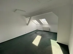 Pronájem kanceláře, Ostrava, Masná, 17 m2