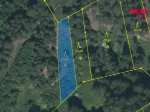 Prodej lesa, Slabčice - Písecká Smoleč, 48910 m2