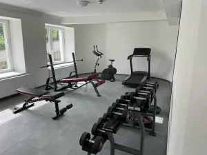 Pronájem bytu 2+kk, Praha - Vinohrady, Perucká, 36 m2