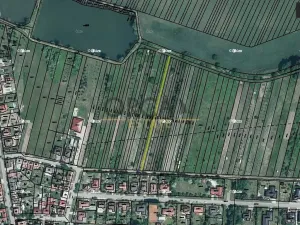 Prodej pole, Dubňany, 416 m2