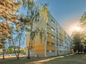 Prodej bytu 3+1, Hradec Králové, Slezská, 63 m2