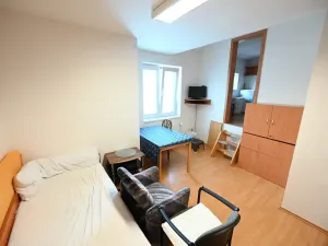 Pronájem bytu 1+1, Luhačovice, 30 m2