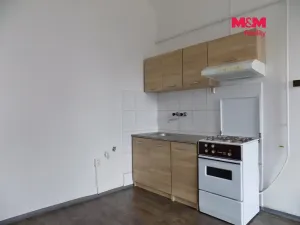 Pronájem bytu 3+1, Teplice, U nádraží, 70 m2