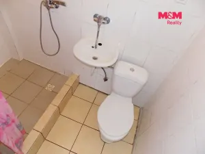 Pronájem bytu 3+1, Teplice, U nádraží, 70 m2