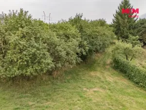 Prodej pozemku pro bydlení, Petrovice, 3359 m2