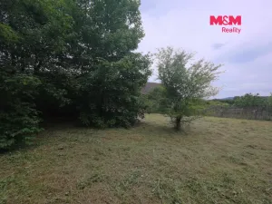 Prodej pozemku pro bydlení, Bor - Boječnice, 1093 m2