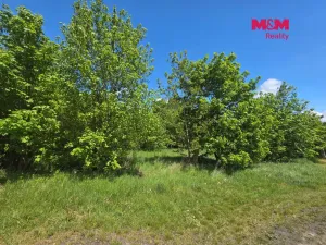 Prodej pozemku pro bydlení, Bor - Boječnice, 1093 m2