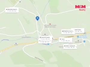 Prodej ubytování, Rokytnice nad Jizerou - Dolní Rokytnice, 450 m2
