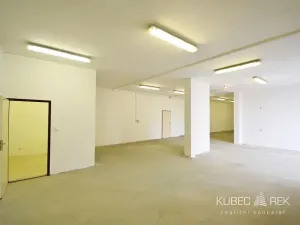 Pronájem skladu, Řípec, 247 m2