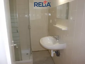 Pronájem bytu 2+1, Liberec, Karoliny Světlé, 48 m2
