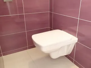 Prodej rodinného domu, Dolní Újezd, 186 m2