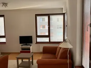 Pronájem bytu 1+kk, Praha - Žižkov, Baranova, 40 m2