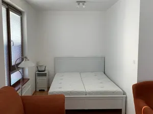 Pronájem bytu 1+kk, Praha - Žižkov, Baranova, 40 m2
