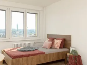 Prodej bytu 1+1, Ostrava - Moravská Ostrava, Nádražní, 30 m2