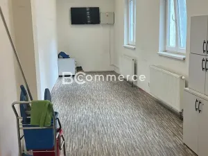 Pronájem výrobních prostor, Brno, 670 m2