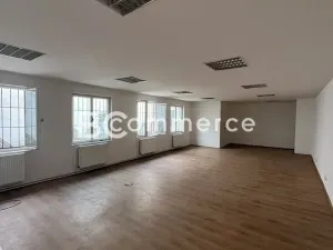 Pronájem výrobních prostor, Brno, 698 m2