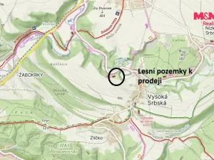 Prodej louky, Vysoká Srbská, 26000 m2