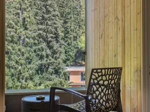 Prodej bytu 2+kk, Pec pod Sněžkou, 56 m2
