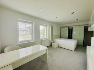 Pronájem rodinného domu, Bašť, Za Vilou, 300 m2