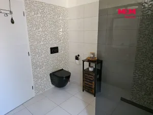 Prodej rodinného domu, Bolatice, Nádražní, 250 m2