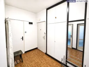 Prodej bytu 1+1, Ostrava, Pionýrů, 38 m2