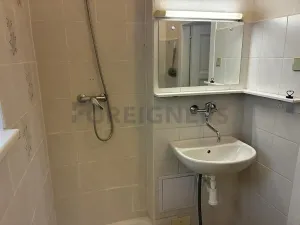 Pronájem bytu 2+1, Olomouc, Škroupova, 60 m2