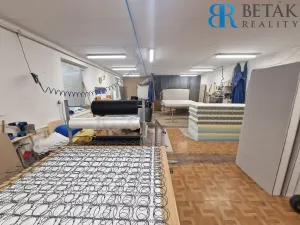 Prodej obchodního prostoru, Horní Moštěnice, 9. května, 1200 m2