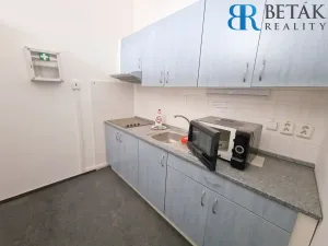 Prodej činžovního domu, Přerov - Přerov I-Město, Dr. Skaláka, 850 m2