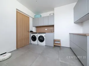 Prodej vícegeneračního domu, Praha - Malešice, Dubského, 321 m2