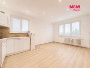 Pronájem bytu 1+kk, Frýdek-Místek - Místek, Frýdlantská, 27 m2