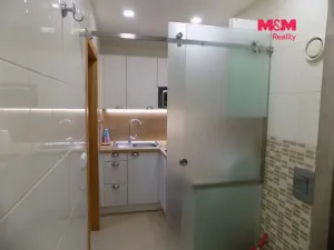 Prodej bytu 1+kk, Králův Dvůr - Počaply, Pod Dálnicí, 24 m2