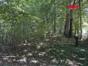 Prodej komerčního pozemku, Řepiště, 3402 m2