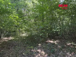 Prodej komerčního pozemku, Řepiště, 3402 m2