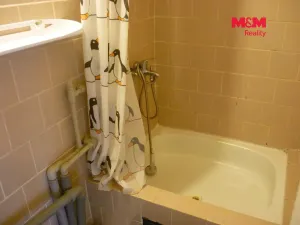 Prodej chaty, Stříbrná Skalice, 48 m2