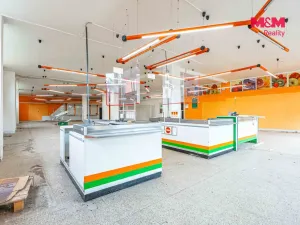 Prodej obchodního prostoru, Český Těšín, Slezská, 900 m2