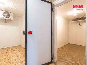 Prodej obchodního prostoru, Český Těšín, Slezská, 900 m2