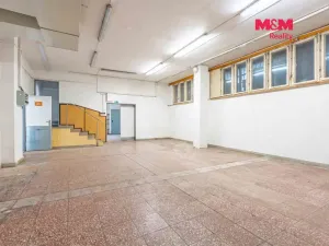 Prodej obchodního prostoru, Český Těšín, Slezská, 900 m2