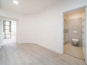 Prodej bytu 1+1, Brno, Cejl, 50 m2