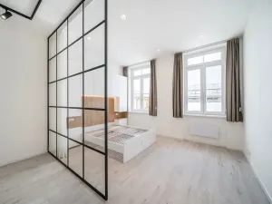 Prodej bytu 1+1, Brno, Cejl, 50 m2