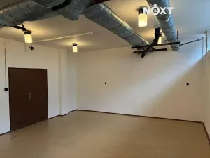 Pronájem skladu, Tábor, Světlogorská, 41 m2