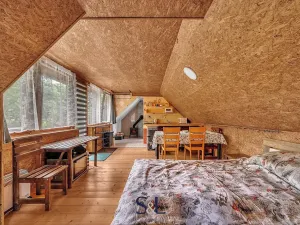 Prodej ubytování, Horní Planá, 200 m2