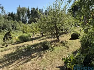 Prodej chaty, Vysoké Mýto, Spálenec, 37 m2