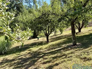 Prodej chaty, Vysoké Mýto, Spálenec, 37 m2