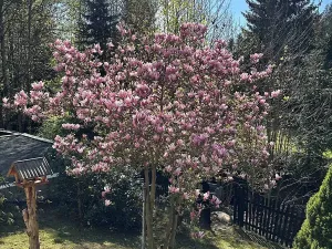 Prodej rodinného domu, Horní Bečva, 104 m2