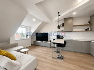 Pronájem bytu 2+kk, České Budějovice, Nová, 60 m2