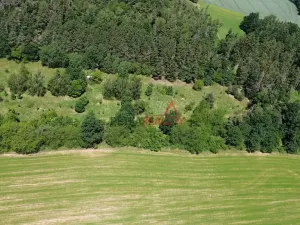 Prodej louky, Neveklov, 12084 m2