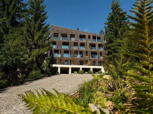 Prodej bytu 3+kk, Železná Ruda, K vodárně, 120 m2