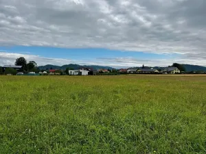Prodej pozemku pro bydlení, Kozlovice, 4354 m2