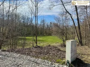Prodej pozemku pro bydlení, Libina, 8112 m2